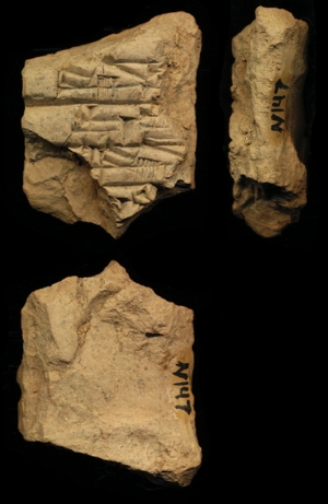 N147
