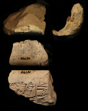 N149