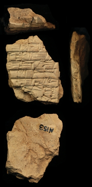 N153