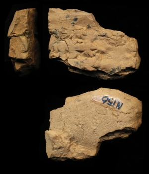 N156