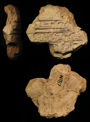 N157