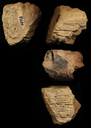 N161