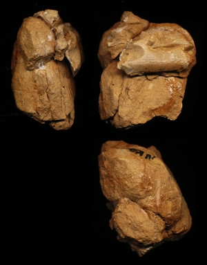 N162