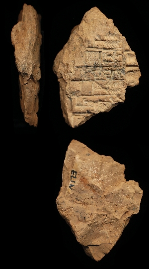 N173