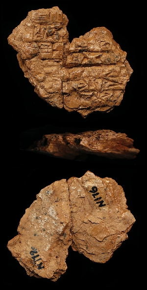 N172