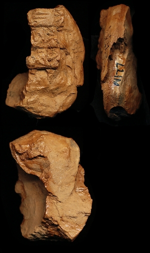 N177