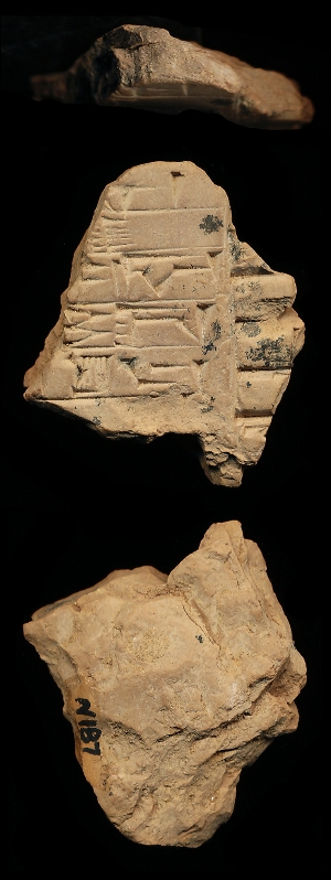 N187