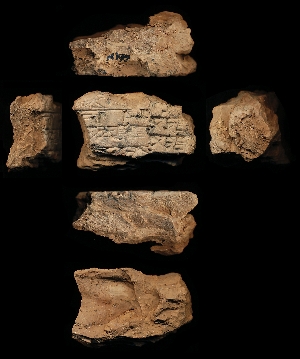 N192