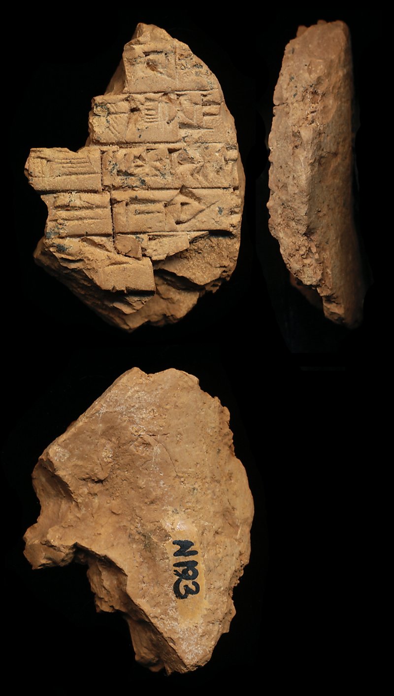 804205
