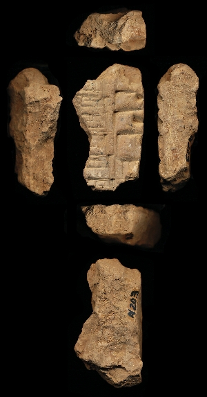 N203