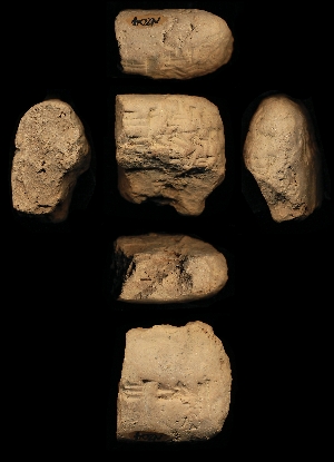 N204