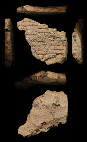 N195