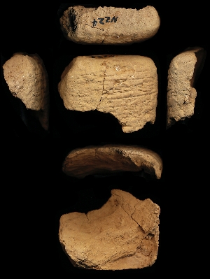 N224