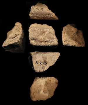 N225