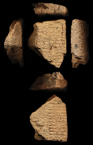 N229