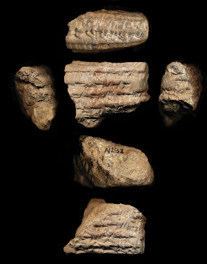 N252