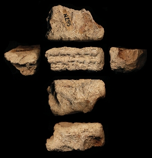 N255