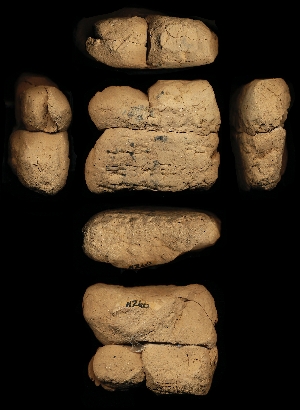 N266