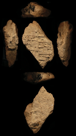 N289
