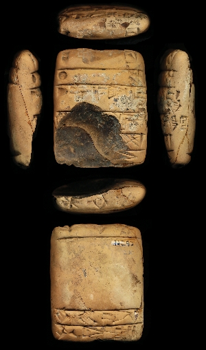 N290
