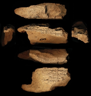 N303