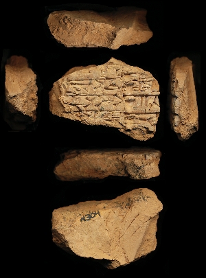 N304