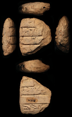 N308