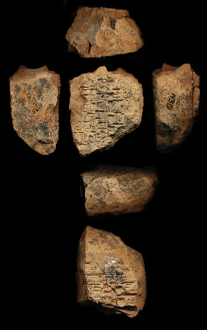 N319