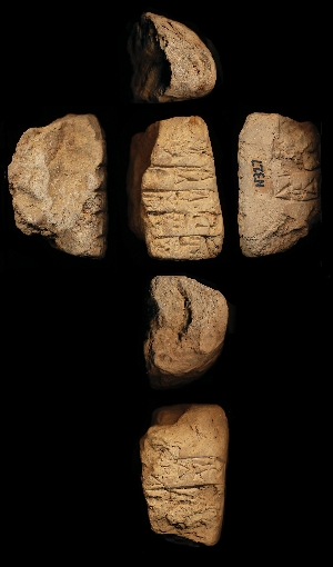 N327