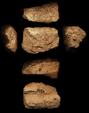 N343
