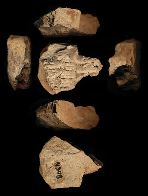 N348