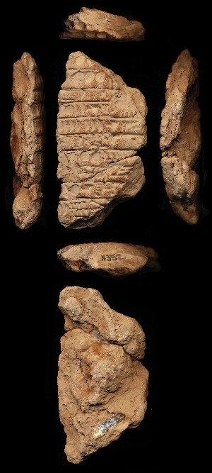 N333