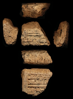 N367