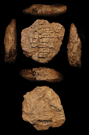 N376