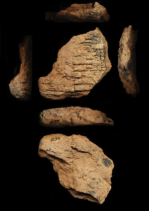 N378