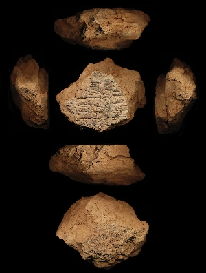 N385