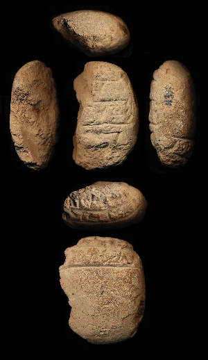 N391