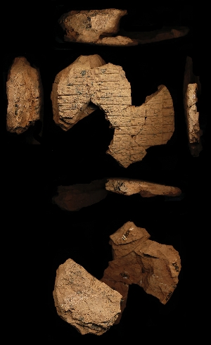 N353