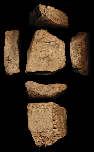 N395