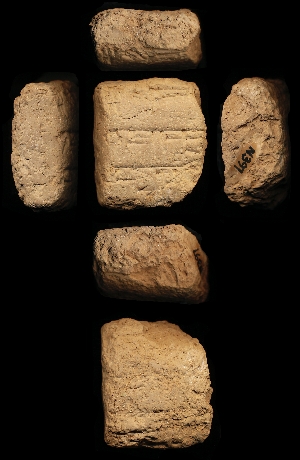 N397