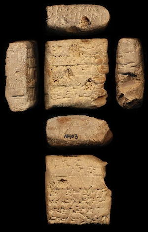 N403