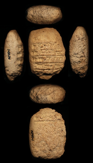 N404