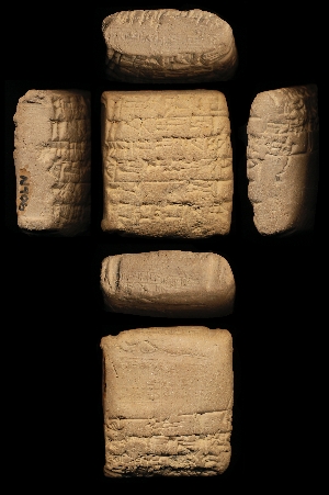 N406