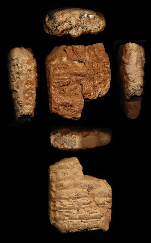 N418