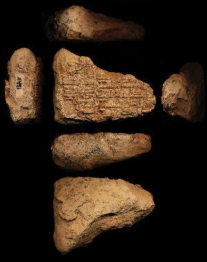 N451