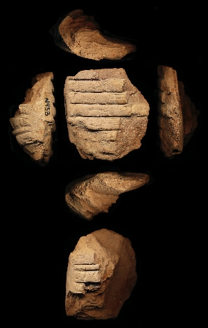 N453
