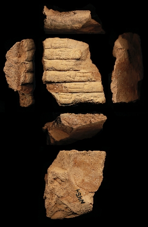 N454