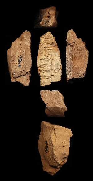 N456