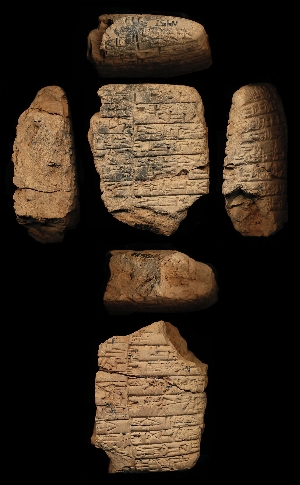 N365