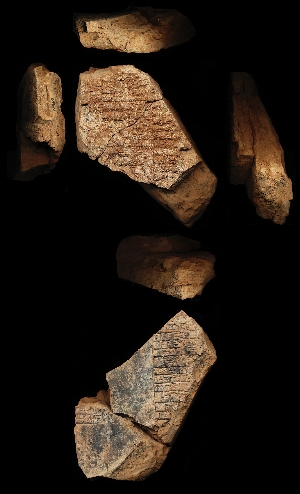 N468